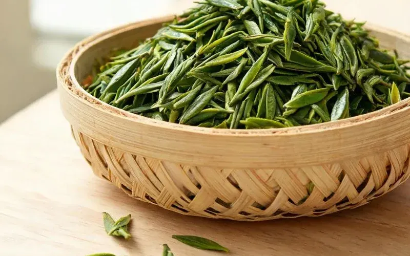 Uống chè xanh mỗi ngày bao nhiêu là vừa đủ?