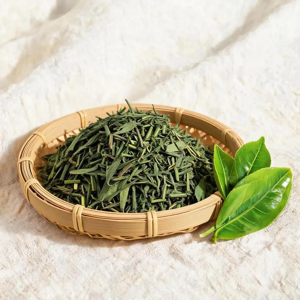 Chè cành Thái Nguyên TRI 777