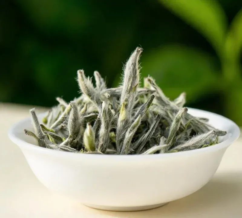 Cách pha chè Đinh ngon: nhiệt độ, liều lượng và 5 lưu ý quan trọng